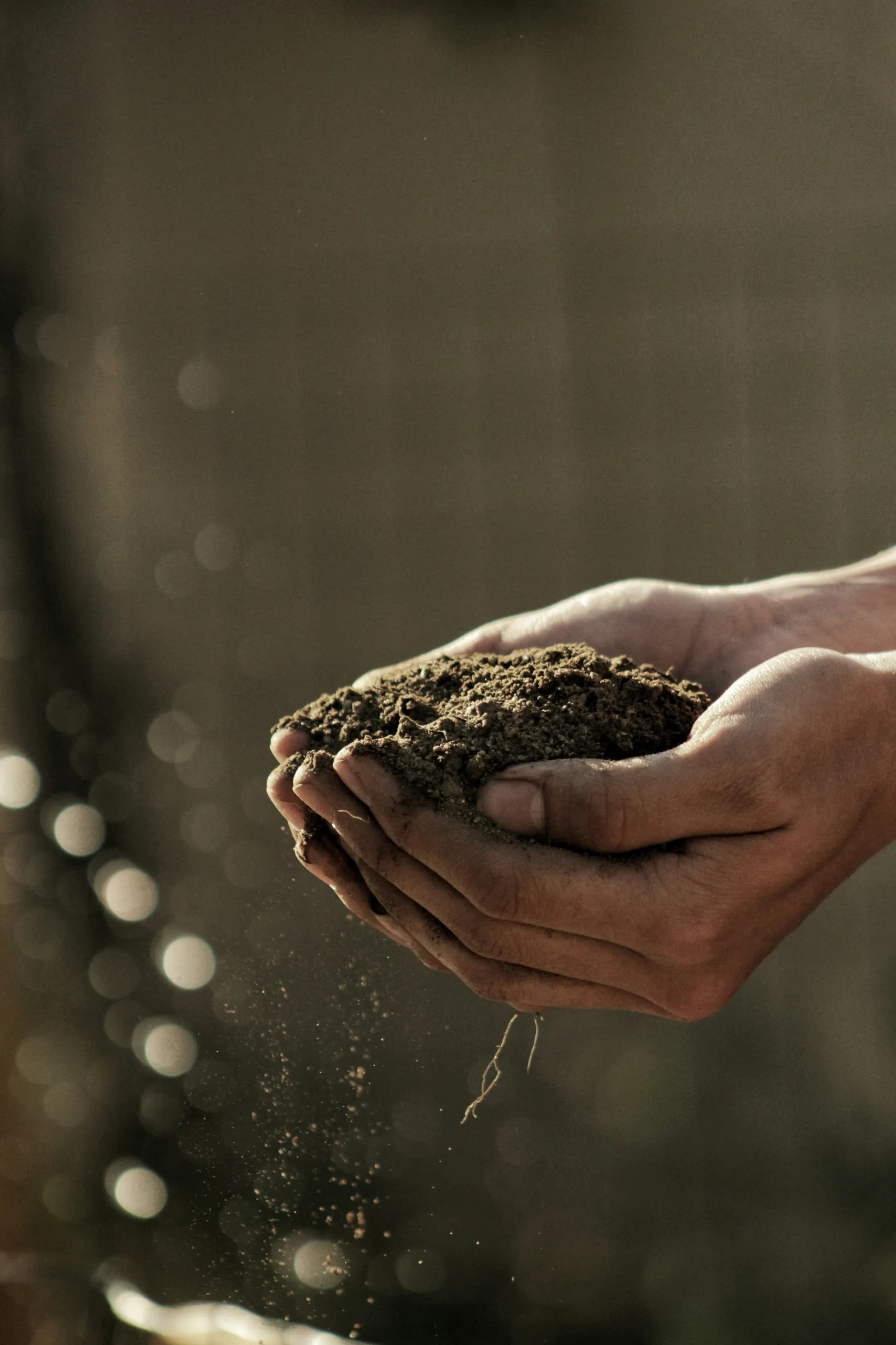 EMB Corporate Social Responsibility